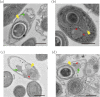 FIG 8