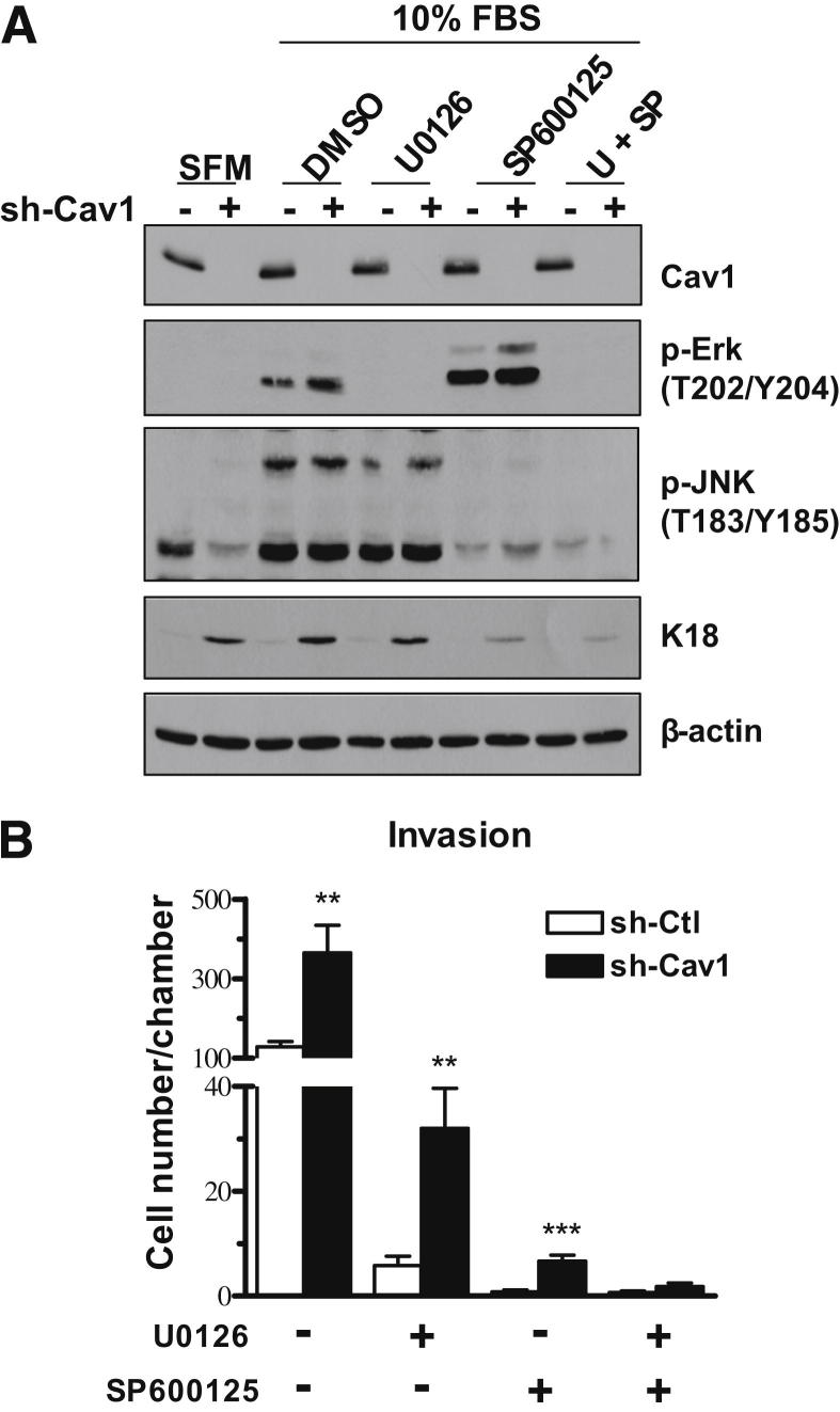 Figure 6