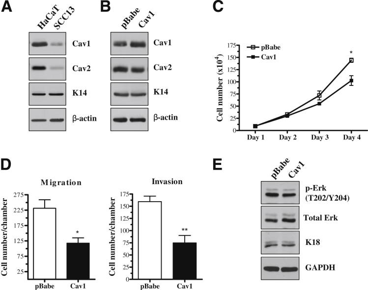 Figure 7