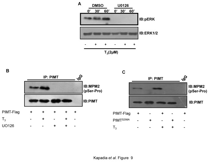 Figure 9