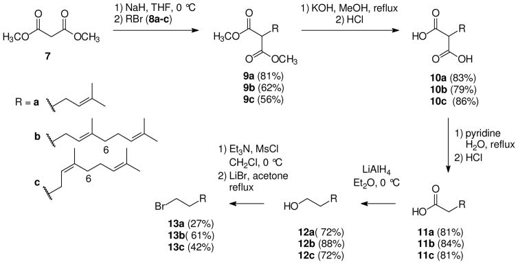 Scheme 1