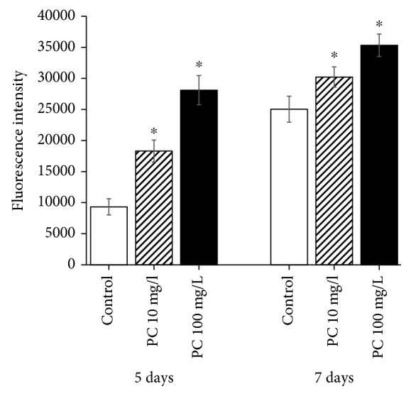 Figure 5