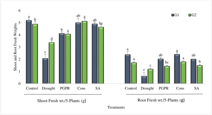 Fig 6