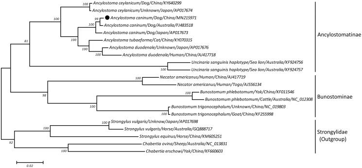 Figure 1.