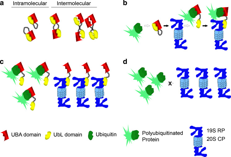 Fig. 2