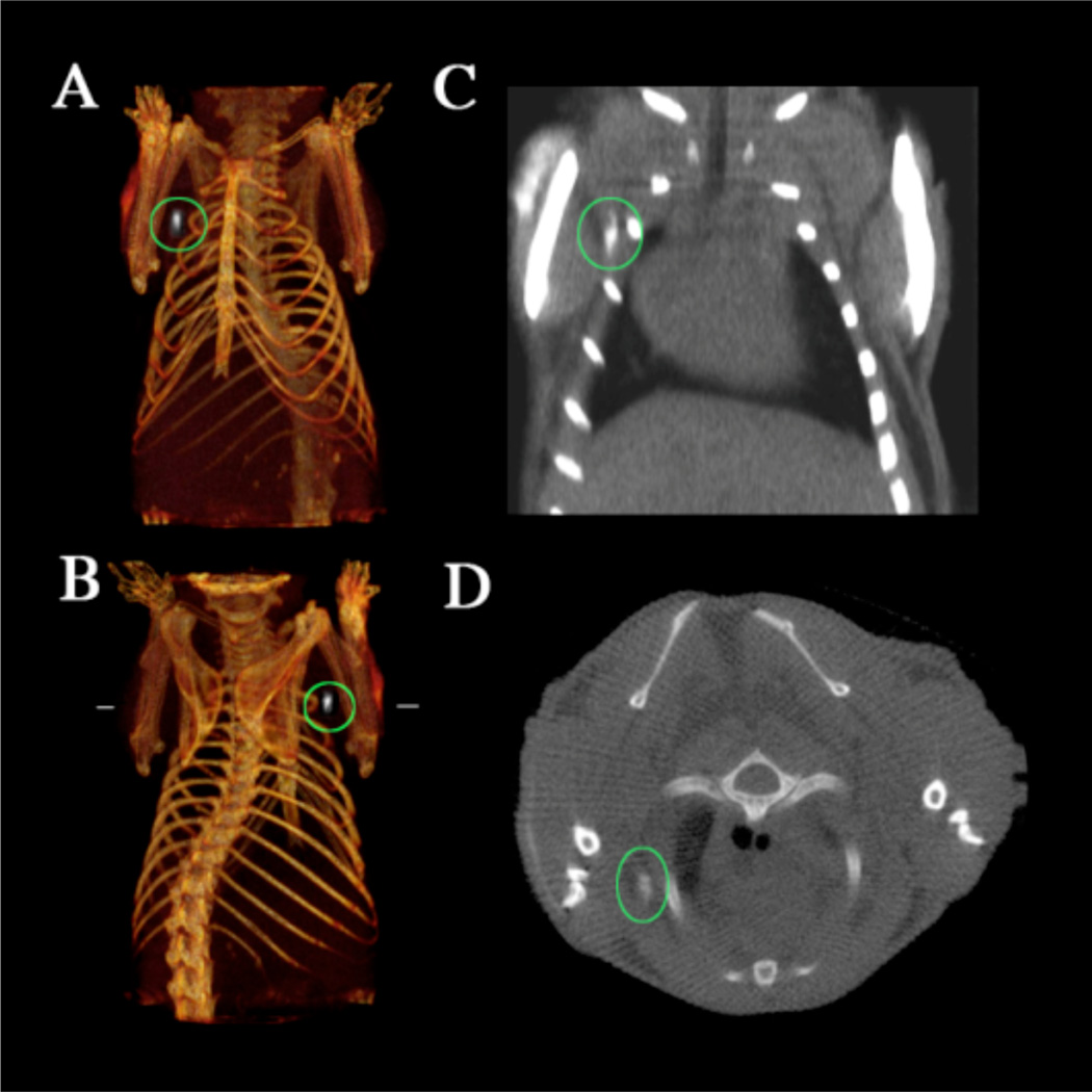 Figure 20