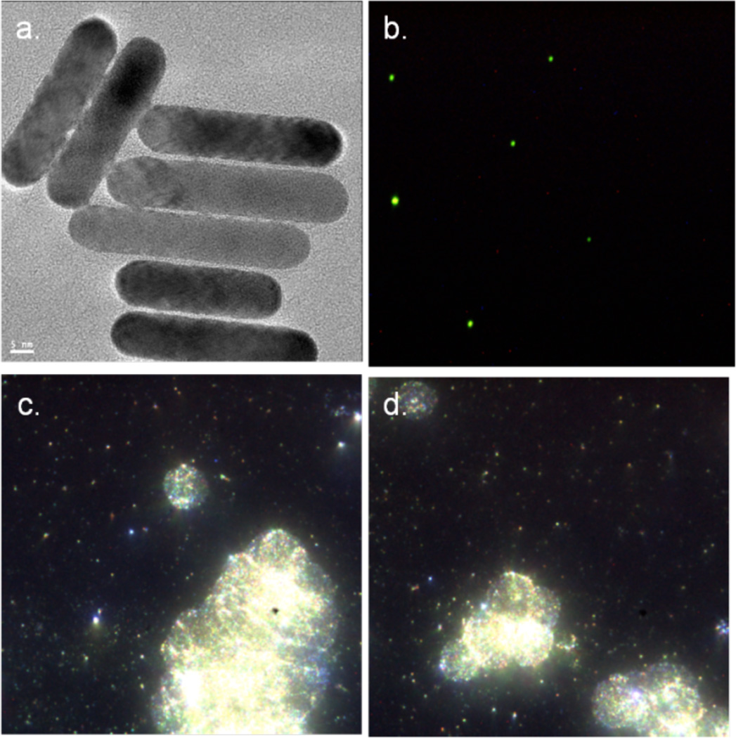 Figure 17