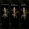 Figure 18