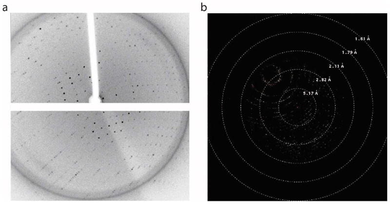 Figure 3.