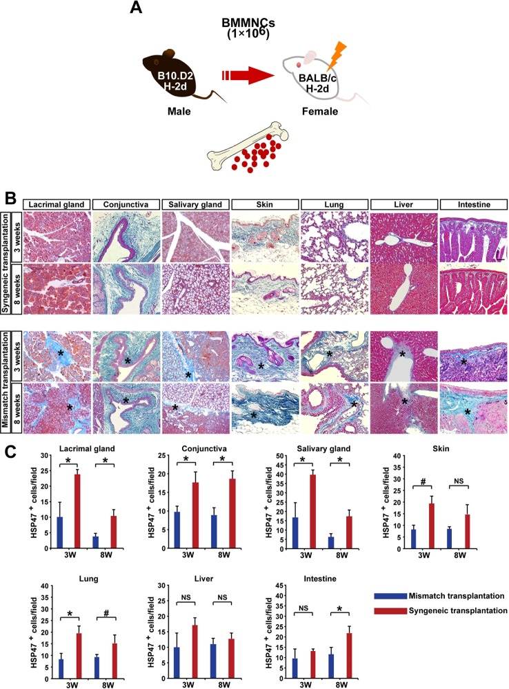 Figure 1—figure supplement 1.