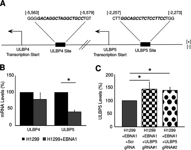 FIG 3