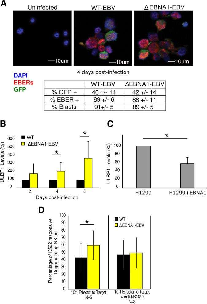 FIG 2