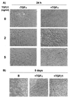 FIG. 12