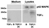 FIG. 8