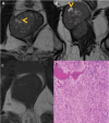 Fig. 8
