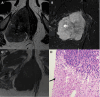 Fig. 7