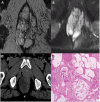 Fig. 3