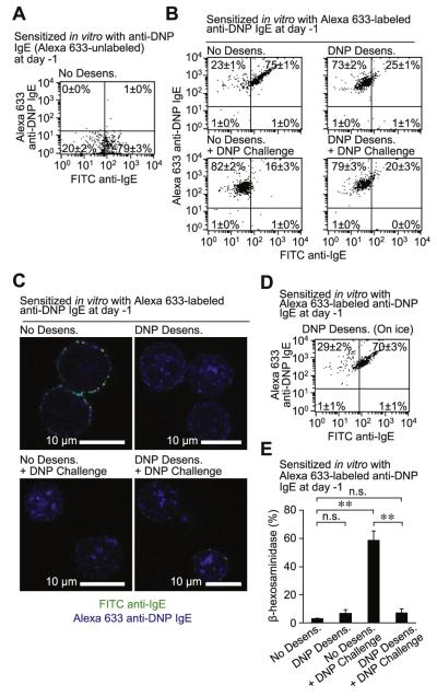 FIG 6