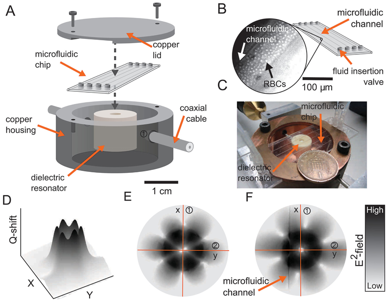 Figure 3.