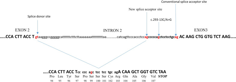 Figure 1