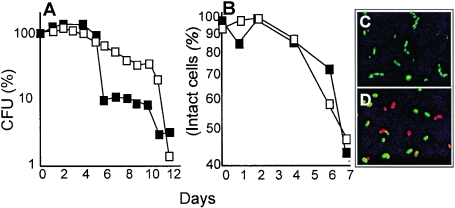 FIG. 7.