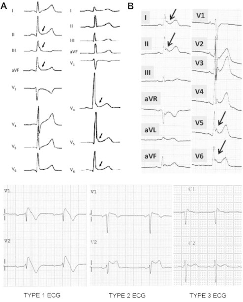 Fig. 3