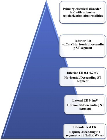 Fig. 5