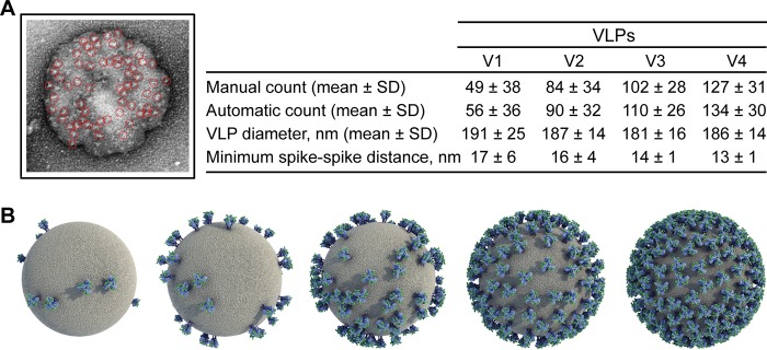 FIG 6