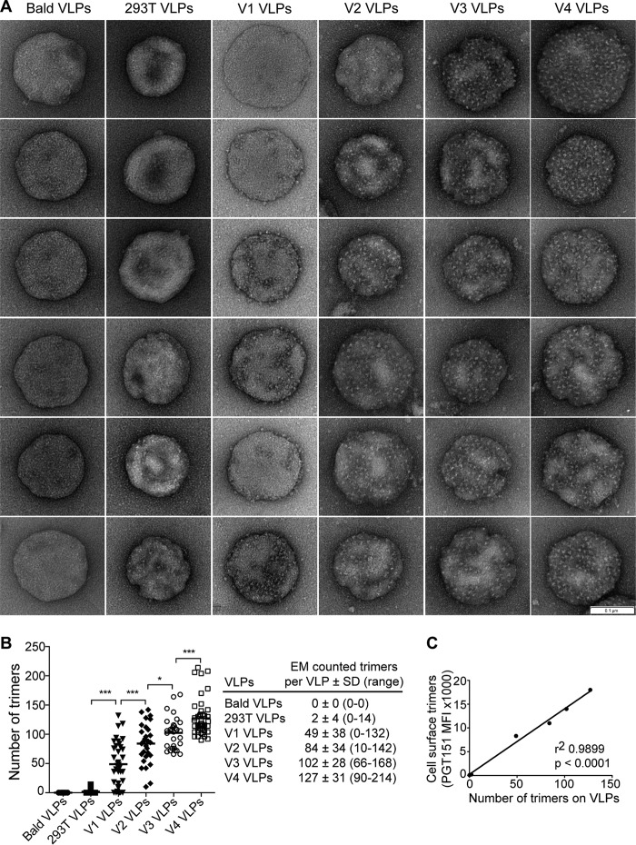 FIG 5