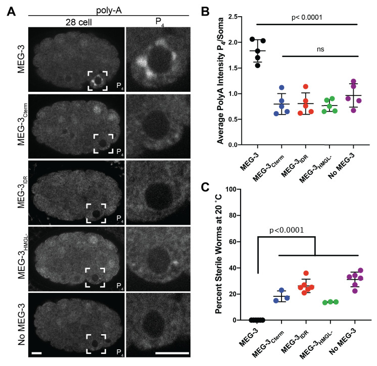 Figure 4—figure supplement 3.