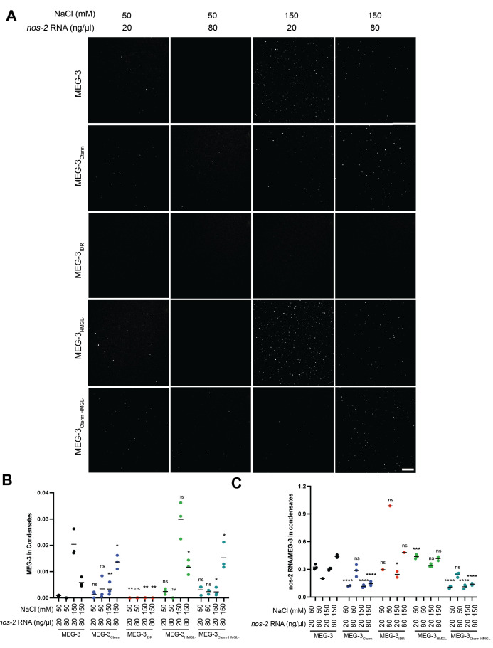 Figure 6—figure supplement 1.