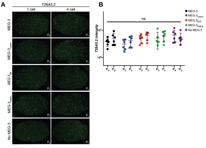 Figure 4—figure supplement 1.