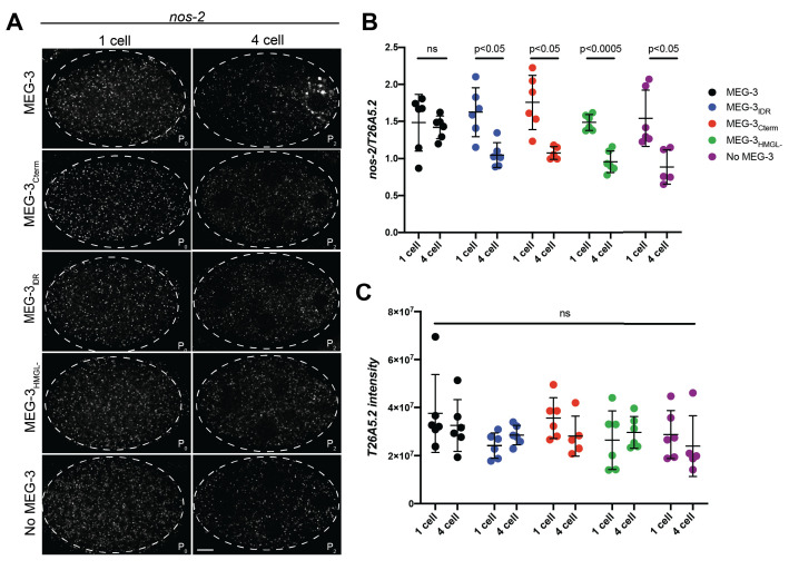 Figure 4—figure supplement 2.