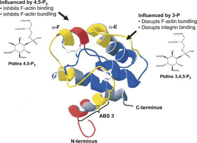 Figure 5.