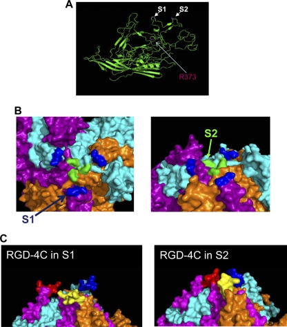 Fig 5