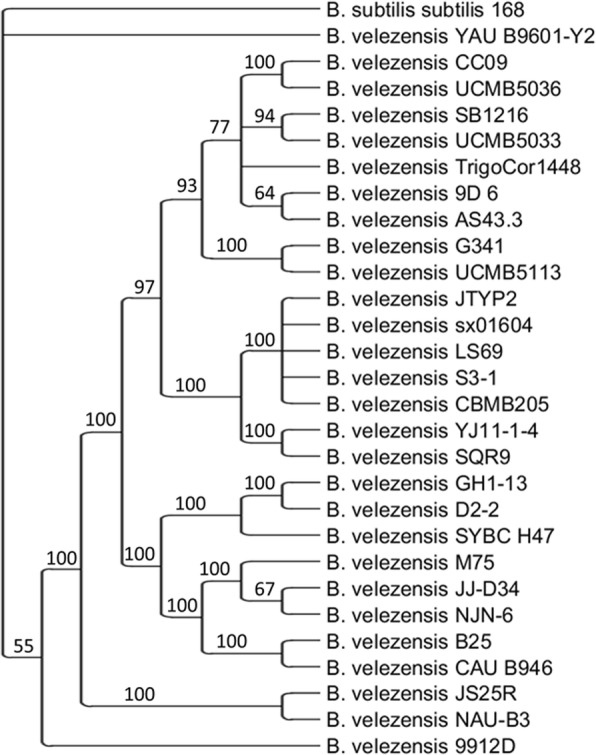 Fig. 3