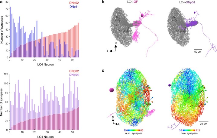 Extended Data Fig. 3