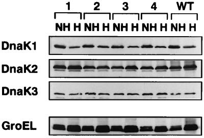 FIG. 5