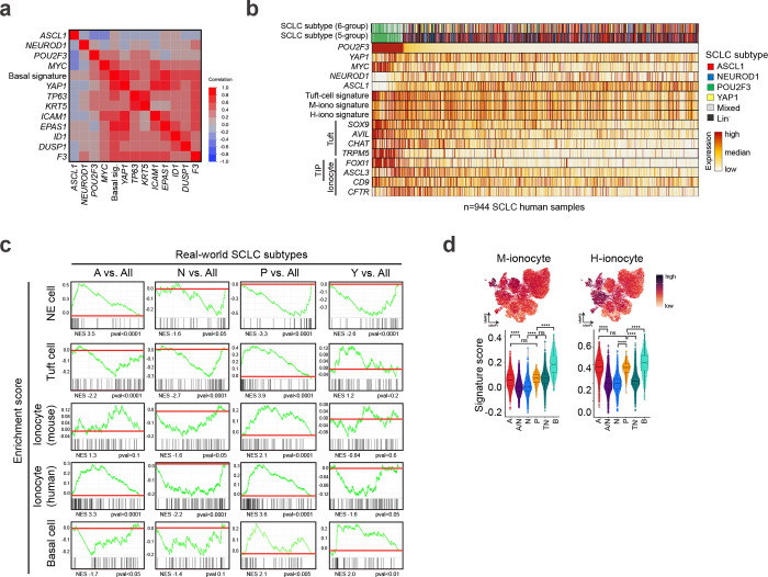 Extended Data Fig. 9: