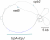 FIG 5