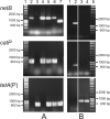 FIG 1