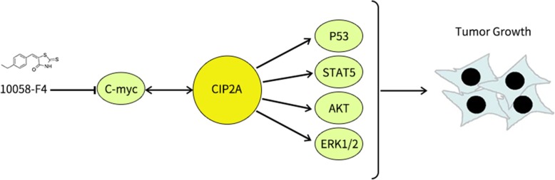 graphic file with name 12964_2020_545_Figa_HTML.jpg