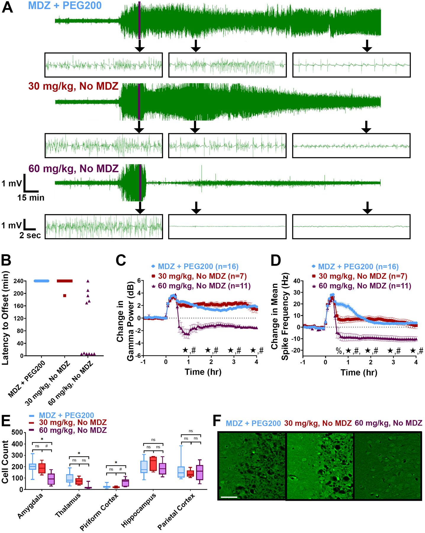 Figure 5: