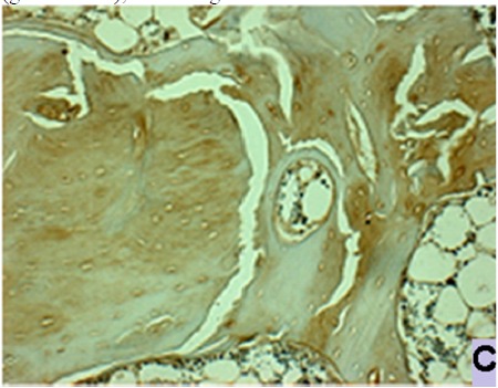 
Fig. 6c
