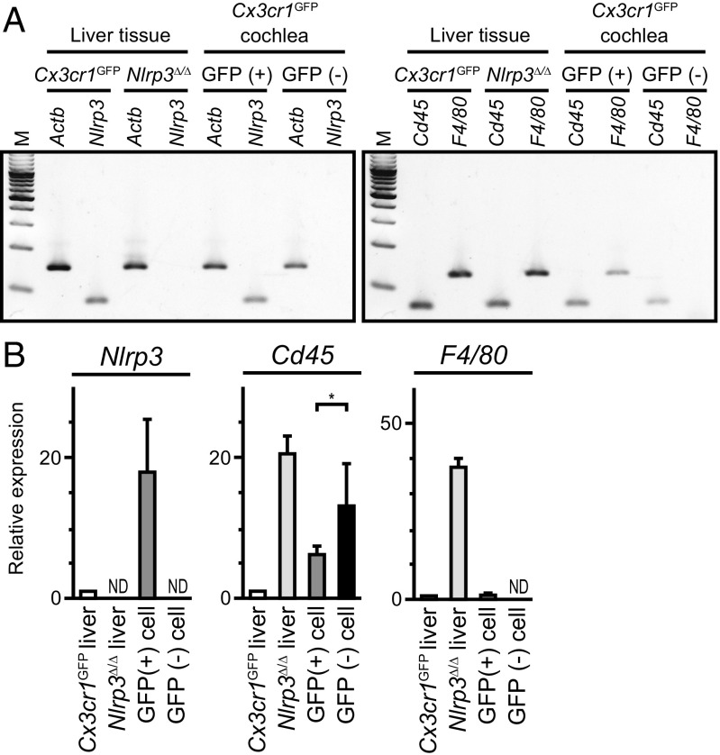 Fig. 8.