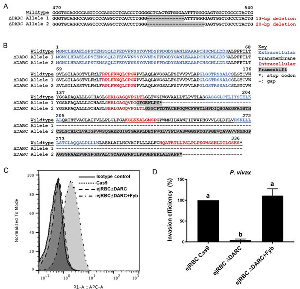 Figure 4: