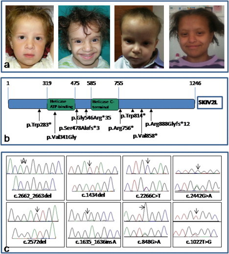 Figure 1