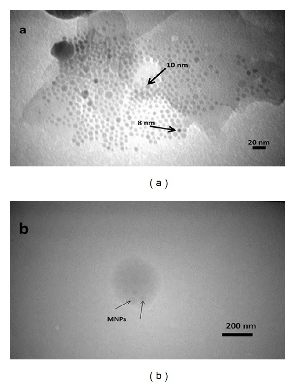 Figure 10