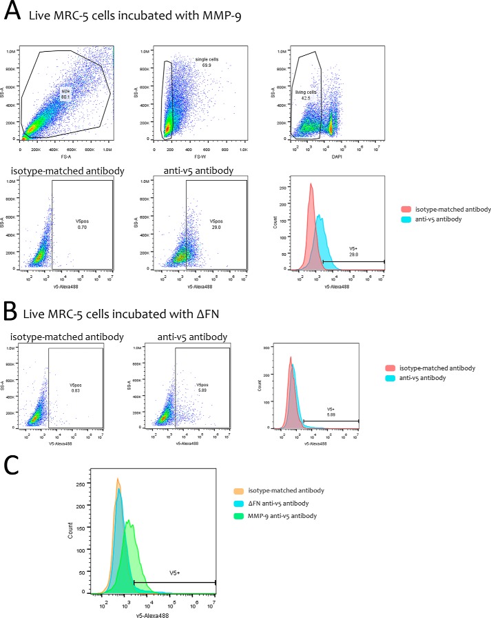 FIGURE 2.