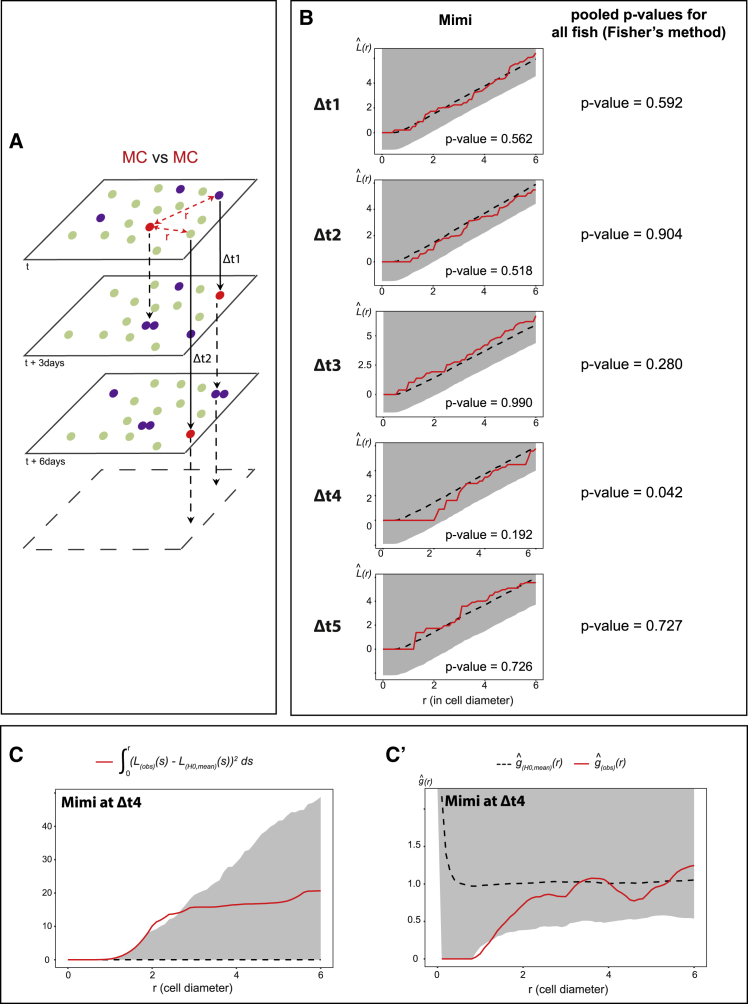 Figure 5